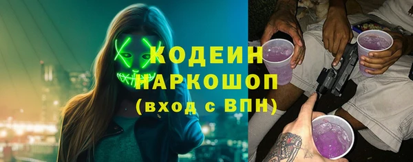 хмурый Аркадак