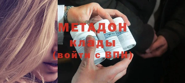 хмурый Аркадак