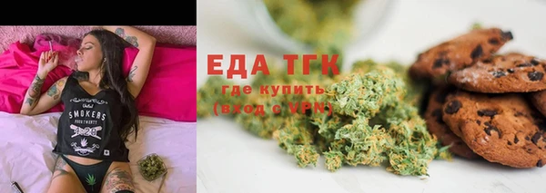 хмурый Аркадак