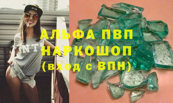 хмурый Аркадак