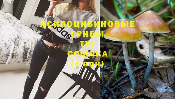 2c-b Армянск