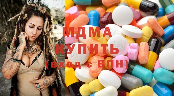 хмурый Аркадак