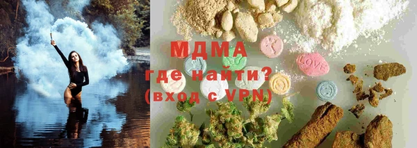 хмурый Аркадак