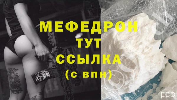 хмурый Аркадак