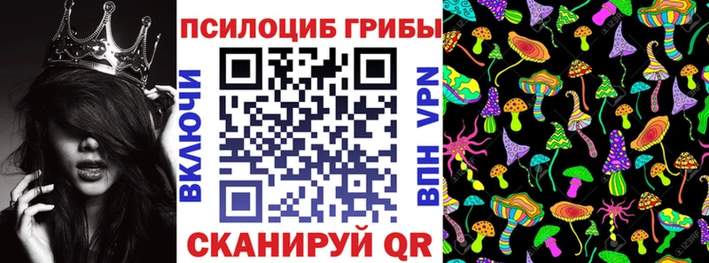 где продают наркотики  Узловая  Псилоцибиновые грибы мицелий 